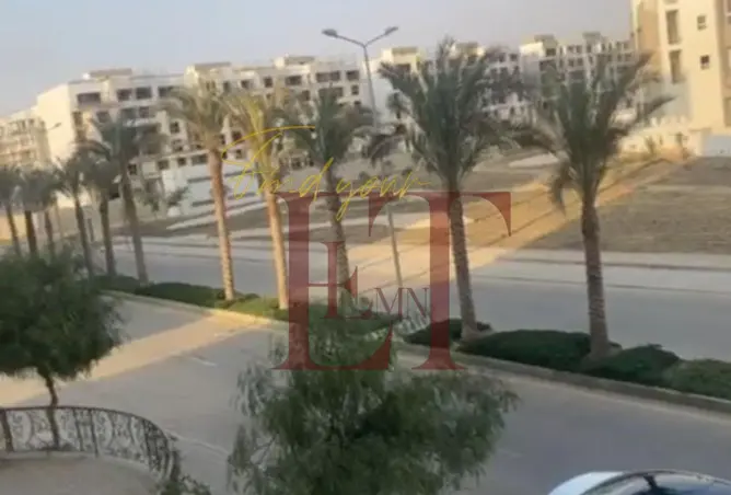 99108465 - صورة العقار 3