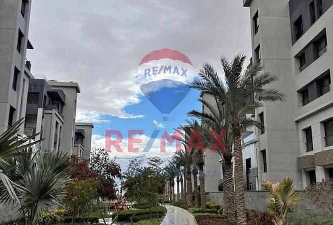 8601827 - Property Image 3