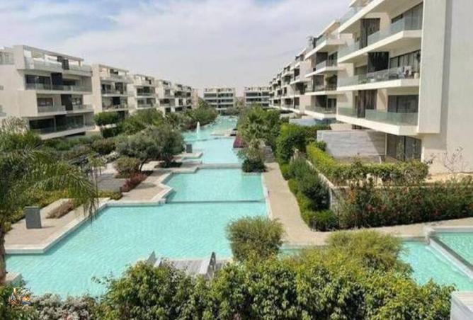 101212570 - Property Image 3