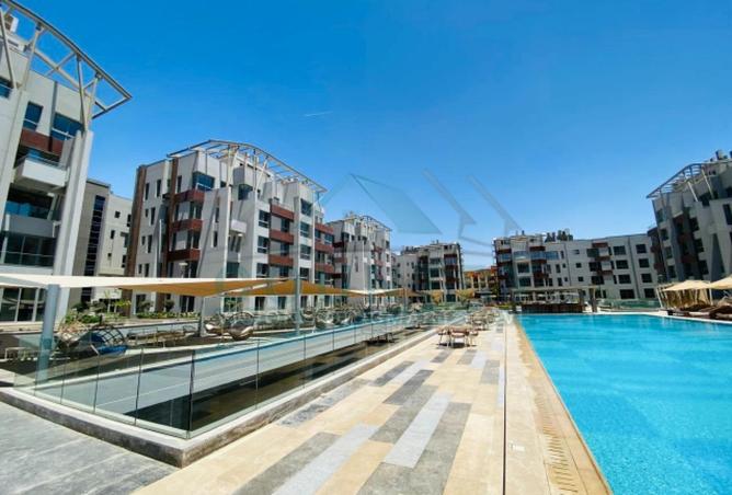 57499934 - Property Image 3