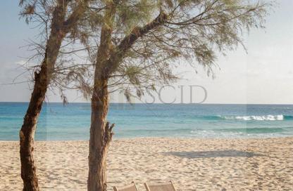 Chalet - 3 Bedrooms - 3 Bathrooms for sale in Marsa Baghush - Qesm Marsa Matrouh - North Coast