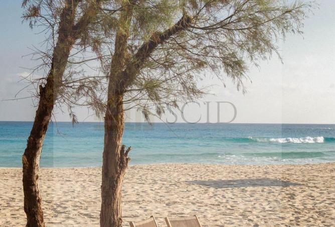 97143919 - Property Image 3