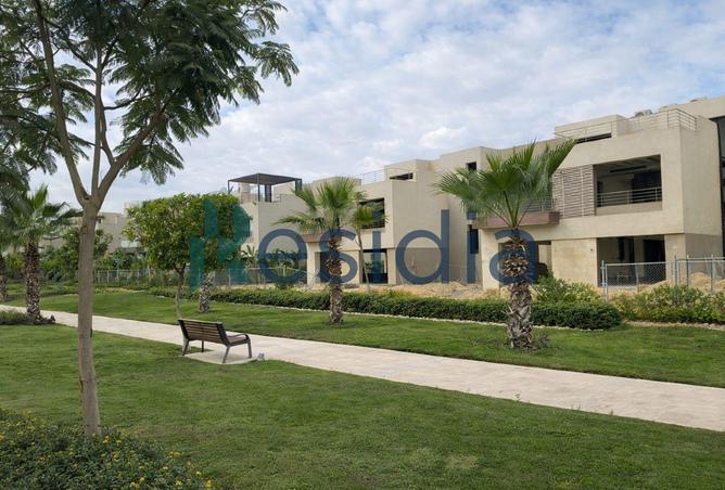 61681205 - Property Image 3