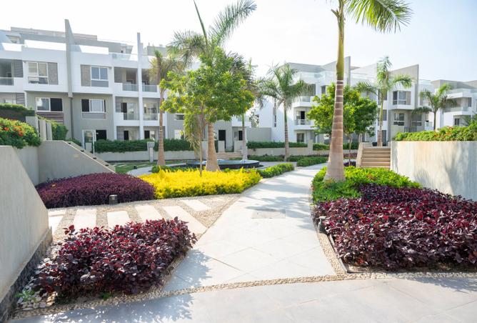 8519595 - Property Image 3