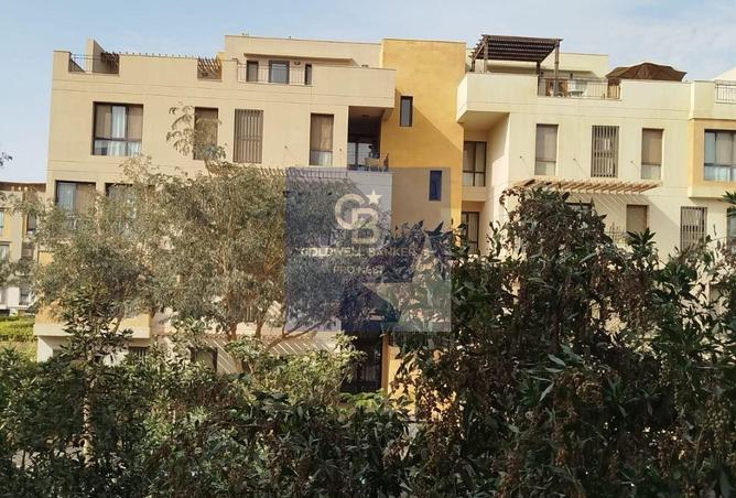 56263179 - Property Image 3