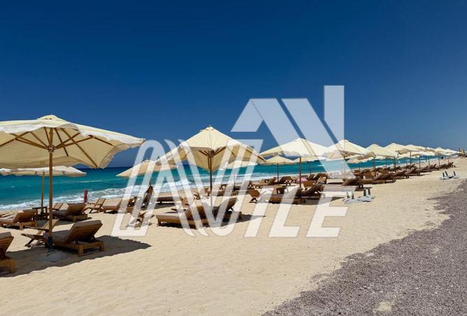 100648177 - Property Image 3