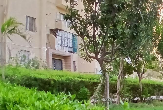 97727269 - صورة العقار 2