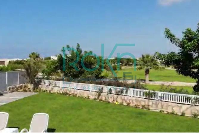 81313237 - Property Image 2