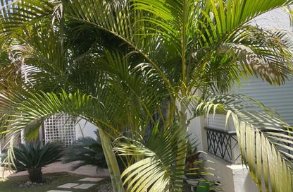Villa - 3 Bedrooms - 3 Bathrooms for sale in El Rehab Extension - Al Rehab - New Cairo City - Cairo