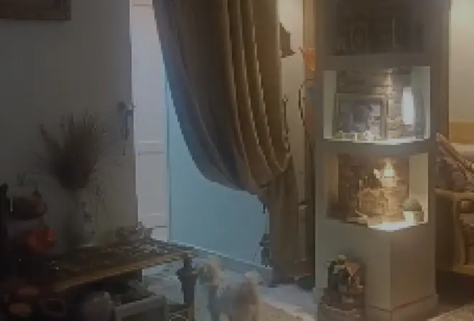 117536337 - صورة العقار 2