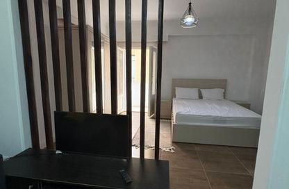 Apartment - 1 Bedroom - 1 Bathroom for rent in Abou Al Feda St. - Zamalek - Cairo Apartment - 1 Bedroom - 1 Bathroom for rent in Abou Al Feda St. - Zamalek - Cairo
