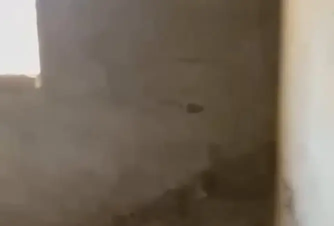 121150023 - صورة العقار 3