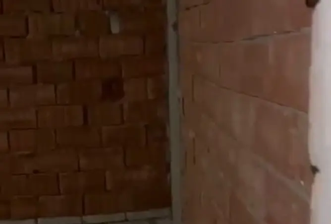 121150023 - صورة العقار 2