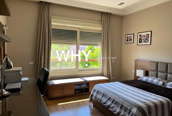 56258296 - Property Image 3