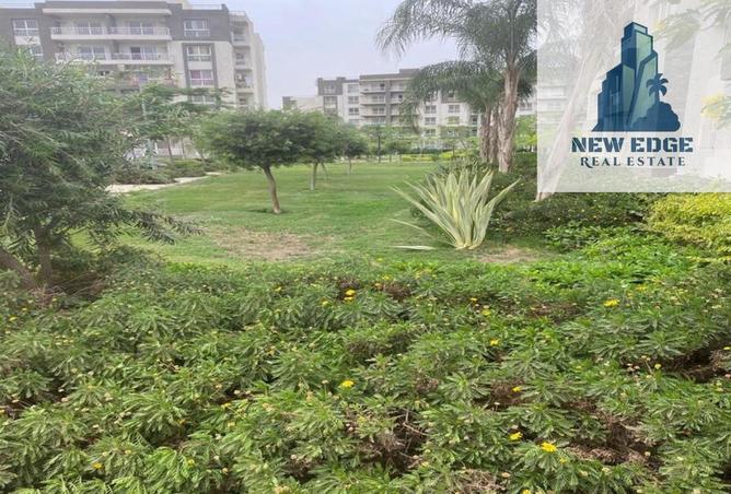 8637159 - Property Image 3