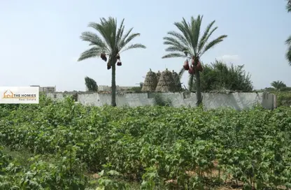 Farm - Studio for sale in Al Sadat City - Madinat Al Menofeya - Al Menofeya