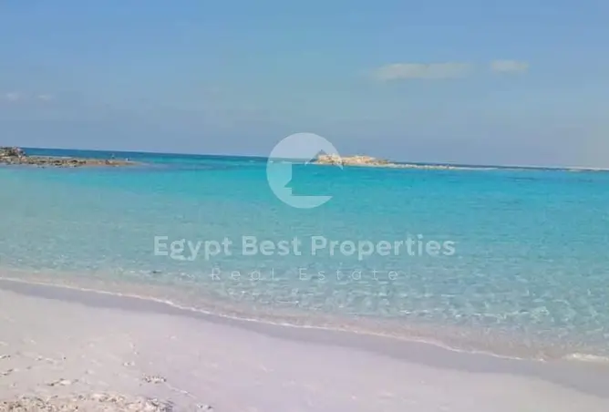 109925374 - صورة العقار 2