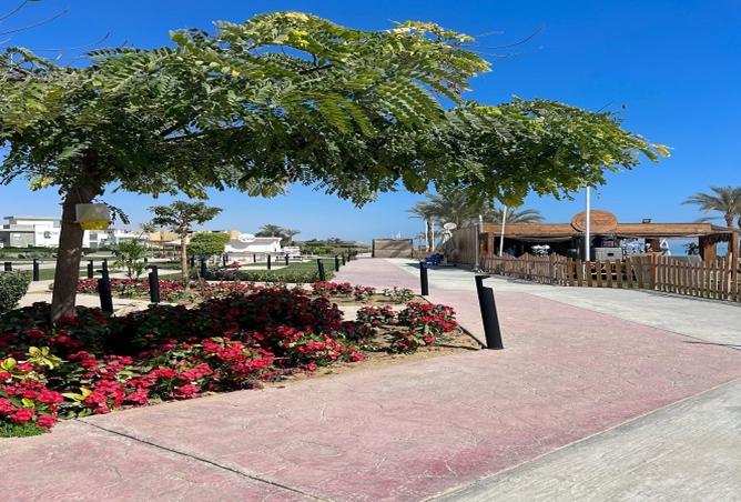 8430684 - صورة العقار 2