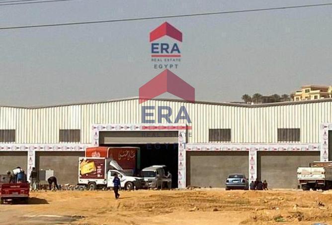 56242397 - صورة العقار 2