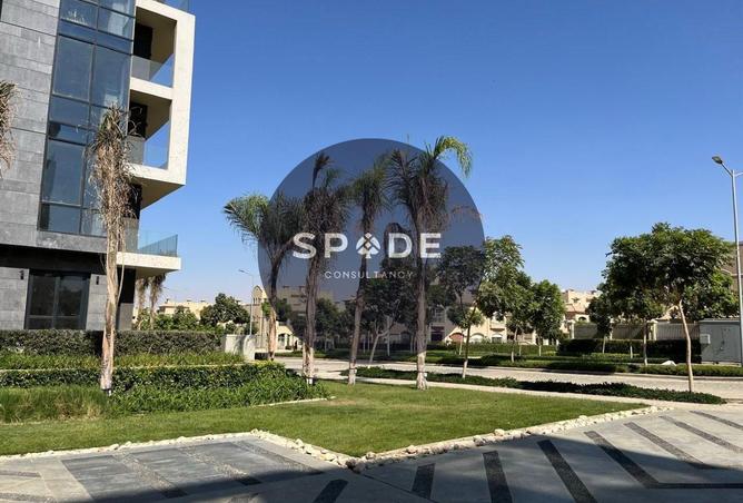 58244103 - صورة العقار 3