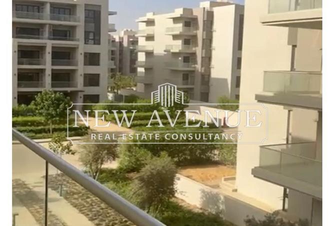 64392071 - Property Image 3