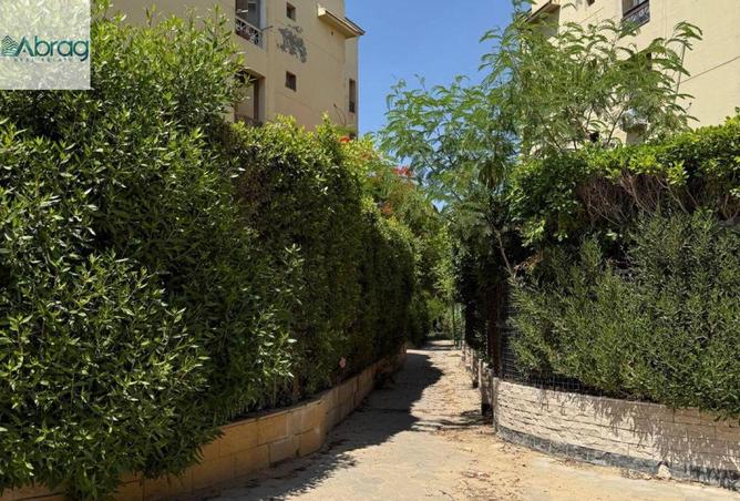 92129076 - Property Image 3