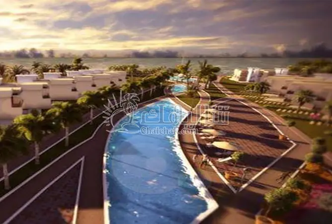117020746 - Property Image 3