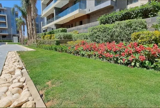 62886652 - صورة العقار 2