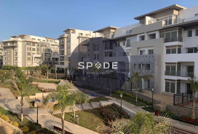 54492976 - Property Image 3