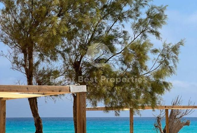 97440747 - صورة العقار 3