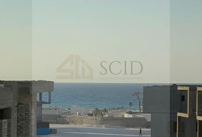 100918967 - Property Image 3
