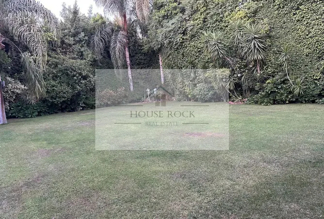 118810670 - Property Image 3
