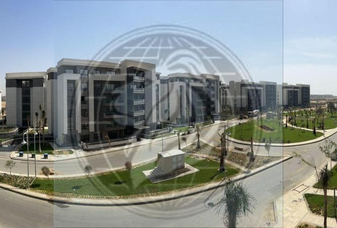 80788586 - Property Image 3