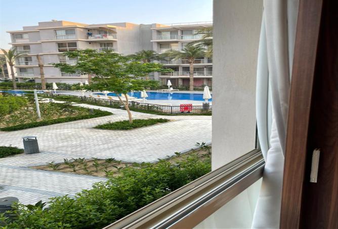 59247507 - Property Image 3