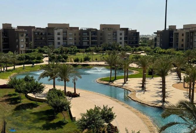 97719406 - صورة العقار 3
