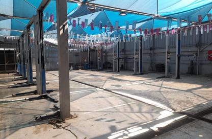 Shop - Studio - 2 Bathrooms for rent in North Teseen St. - The 5th Settlement - New Cairo City - Cairo