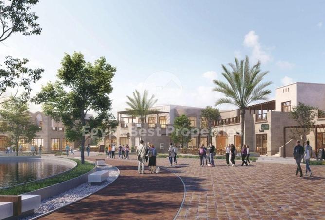 54501463 - Property Image 3