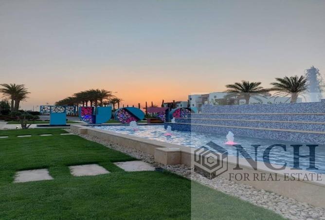 53475918 - Property Image 3