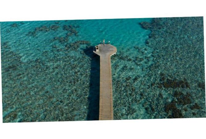 68005708 - صورة العقار 3