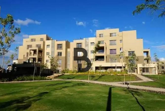 71644664 - صورة العقار 3