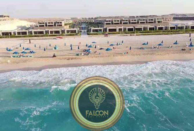 8657837 - Property Image 3