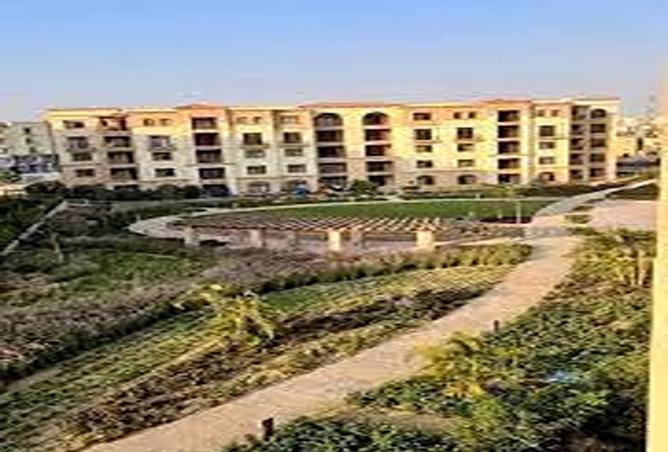 8550235 - صورة العقار 3