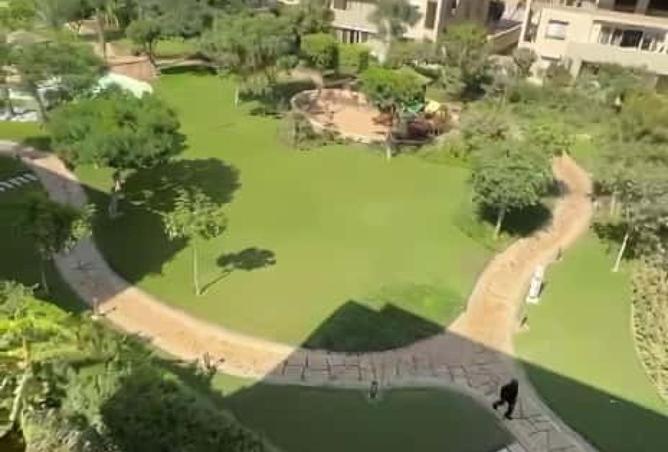 65162712 - Property Image 2