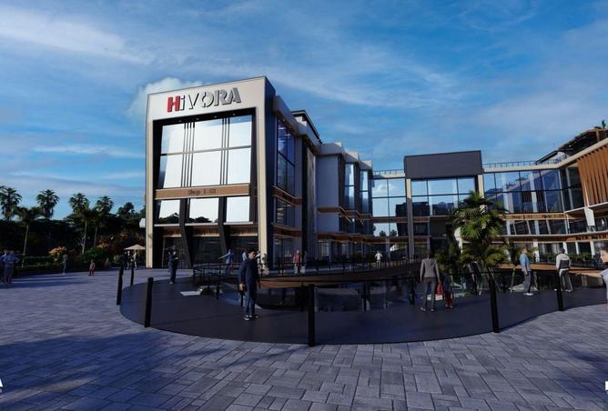 64135146 - Property Image 3