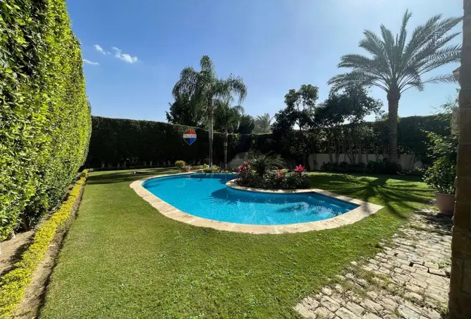 101485471 - صورة العقار 3