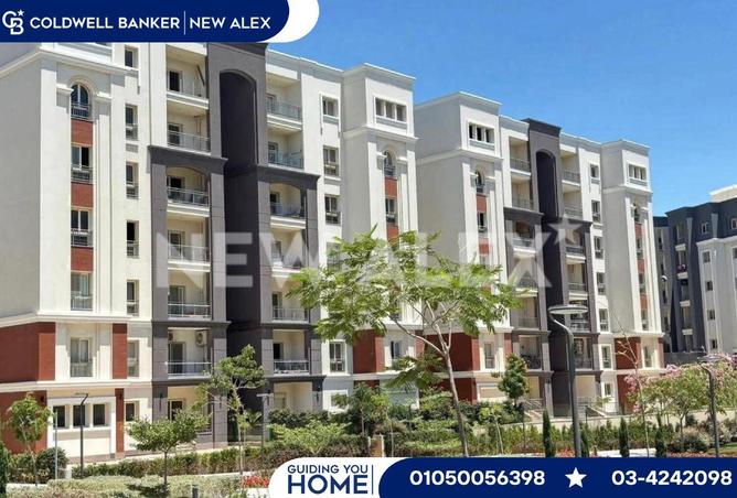 54503937 - Property Image 3