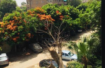 Apartment - 1 Bedroom - 1 Bathroom for rent in Street 6 - Maadi - Hay El Maadi - Cairo