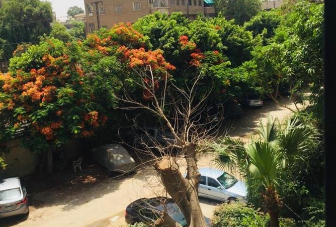 59243757 - صورة العقار 3