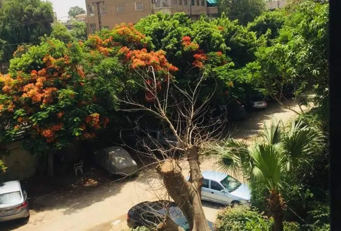 59243757 - صورة العقار 3