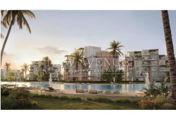 98838584 - Property Image 3